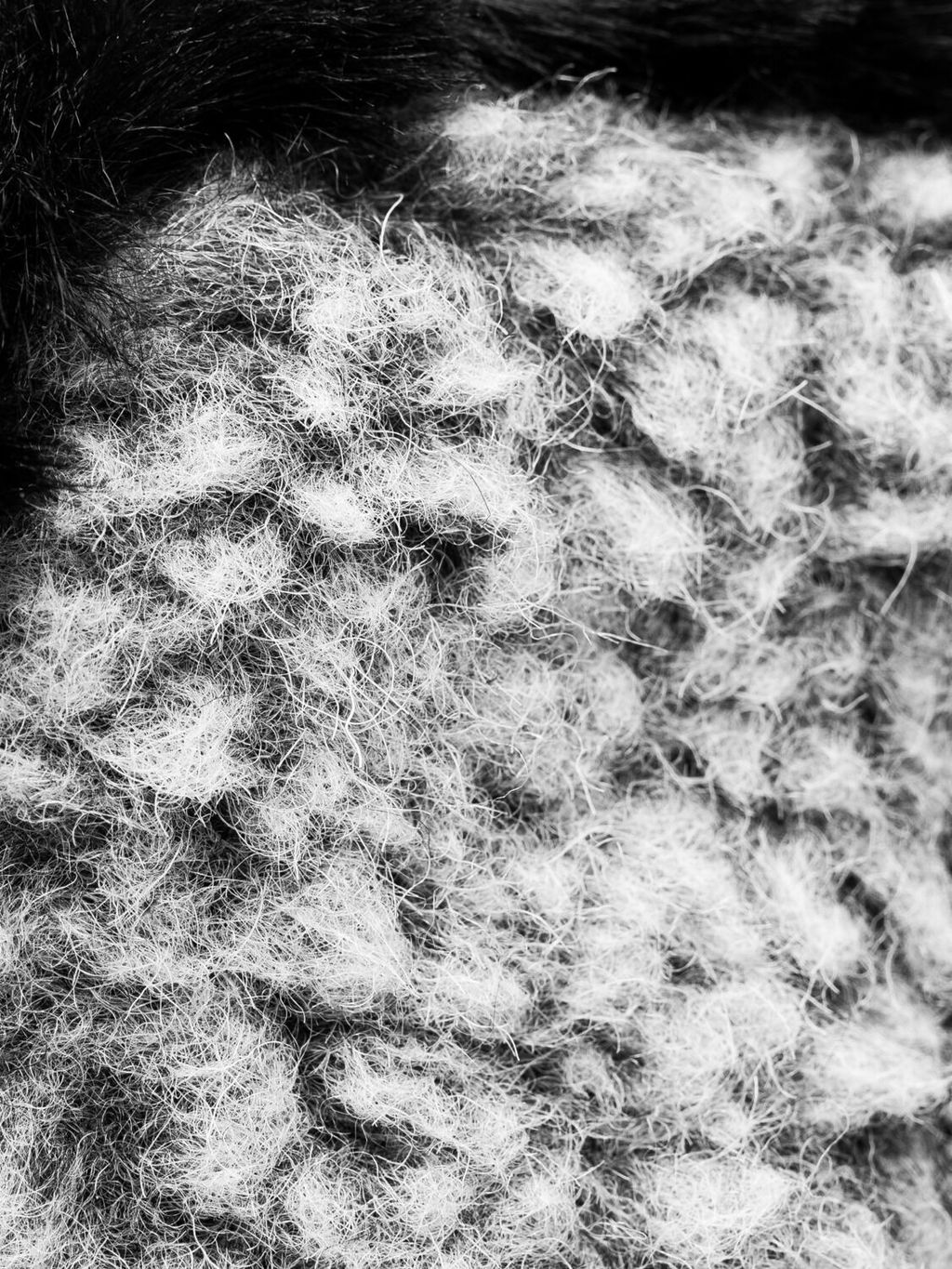 УЦЕНКА Полусапоги арт. 2234145 - Belwest фото 8