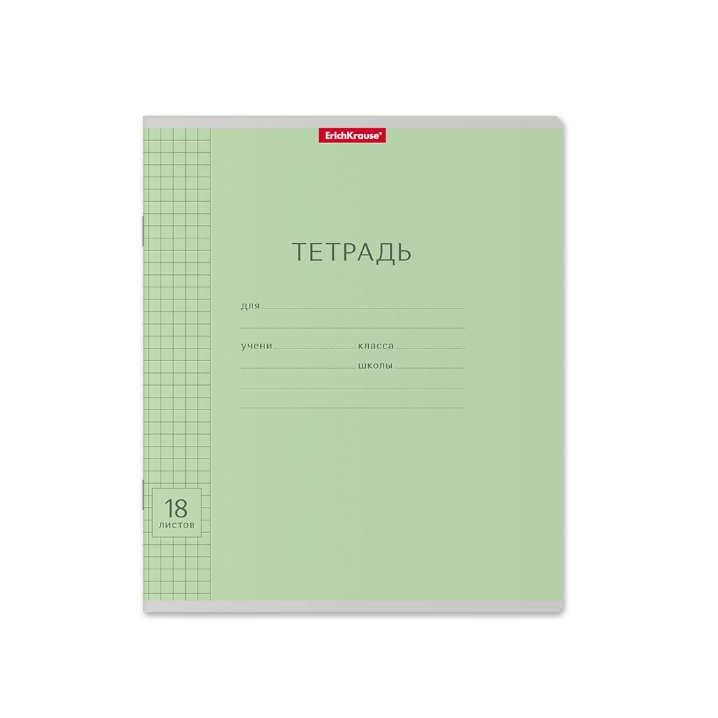 Цена за 200 шт. Тетрадь школьная ученическая ErichKrause Классика Visio зеленая, 18 листов, клетка (в плёнке по 10 шт.)  фото 51