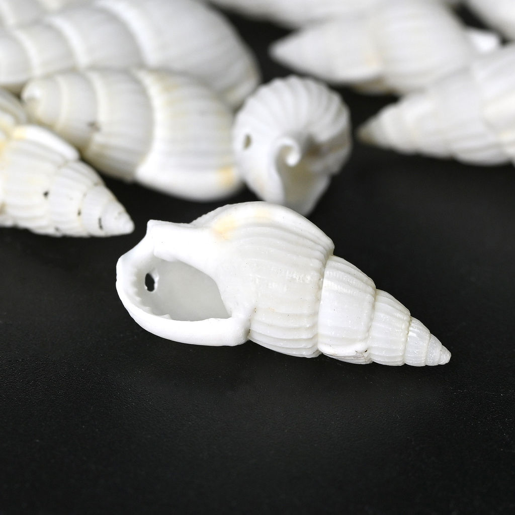 Ракушки природные "Риссоа белая" 8*20мм, 25г Радуга камня