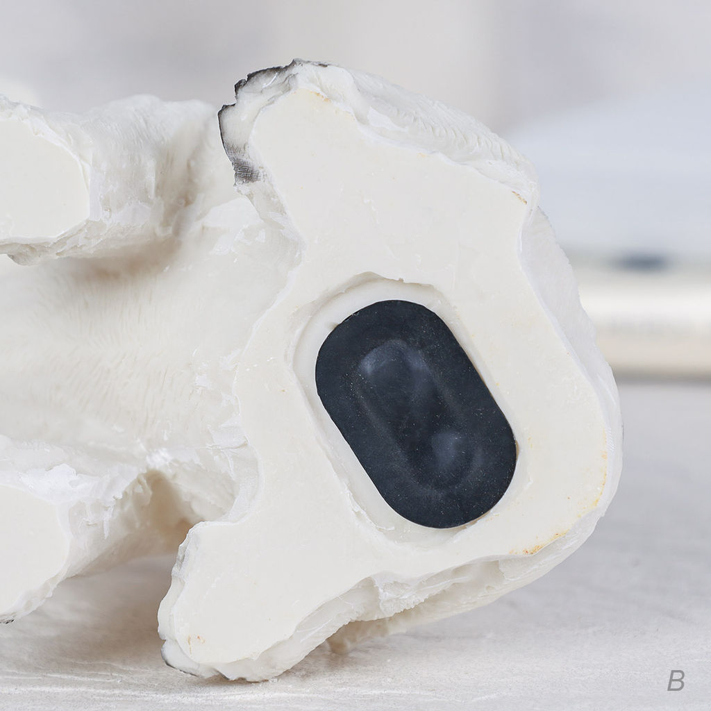 Копилка Собачка 15 см / CW421-28 /уп 60/ - Галеонтрейд фото 22