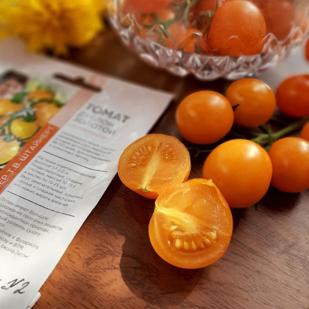 Томат ДУБЛОН ЗОЛОТОЙ коллекция Татьяны Штайнерт Авторская селекция - Уральский дачник фото 2