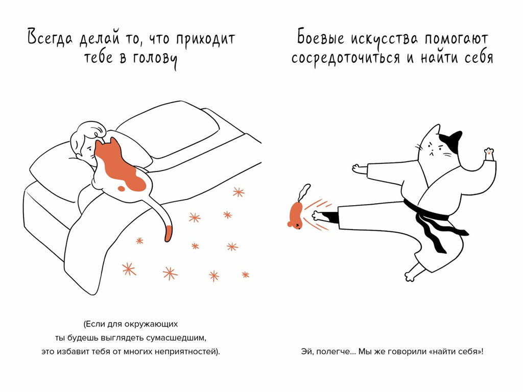 Кот всему голова. Кошачьи мудрости для жизни без стресса. Баваньоли Д.