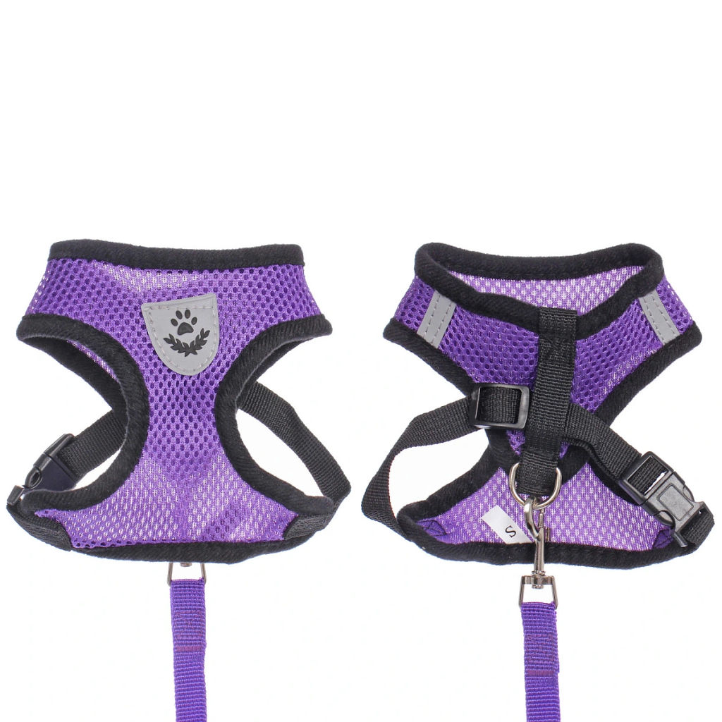 Цена за 2 шт. Шлейка с поводком 118см "Sweet puppy" размер S, цвет фиолетовый