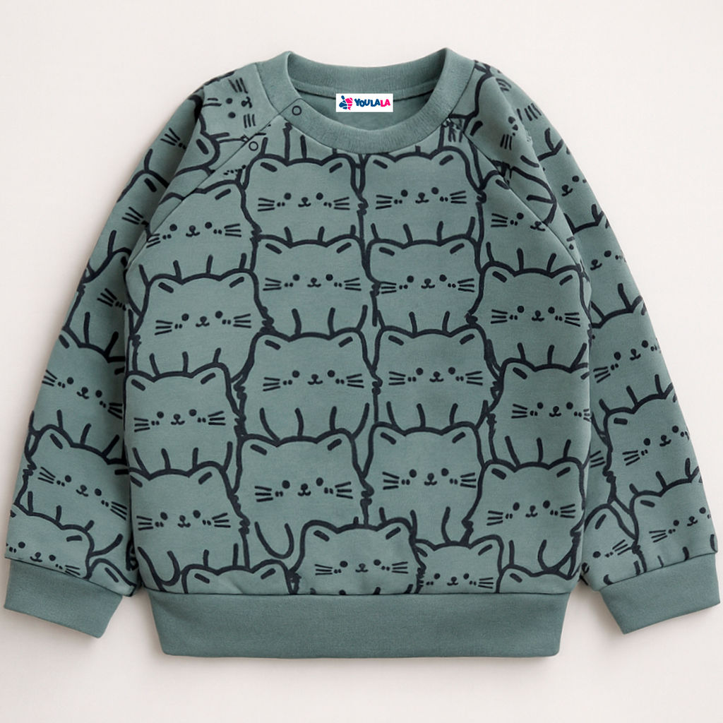 Толстовка футер 2х нитка начес 1027310111