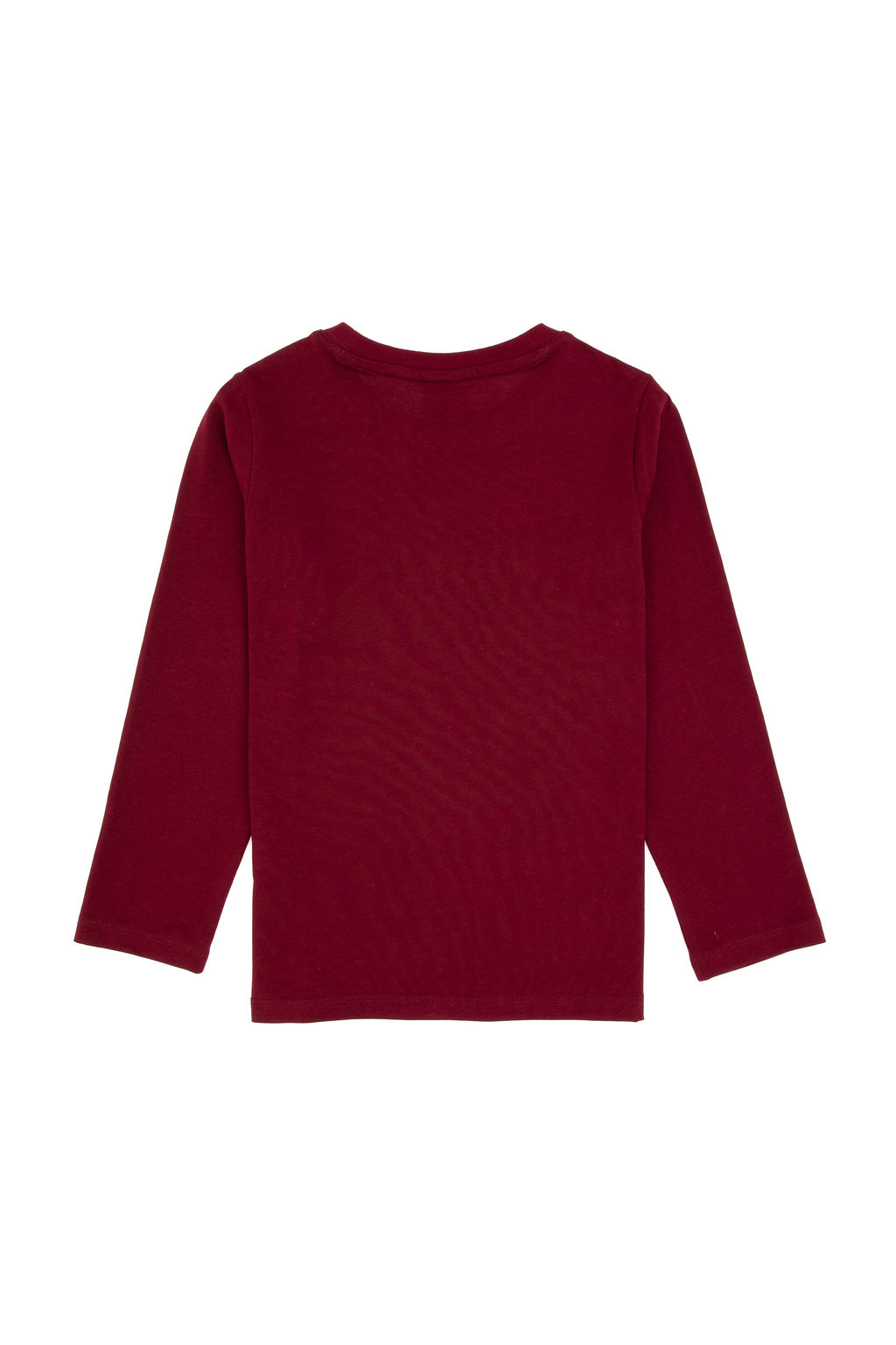 Erkek _ocuk Bordo Bisiklet Yaka Sweatshirt - U.s. polo assn фото 5