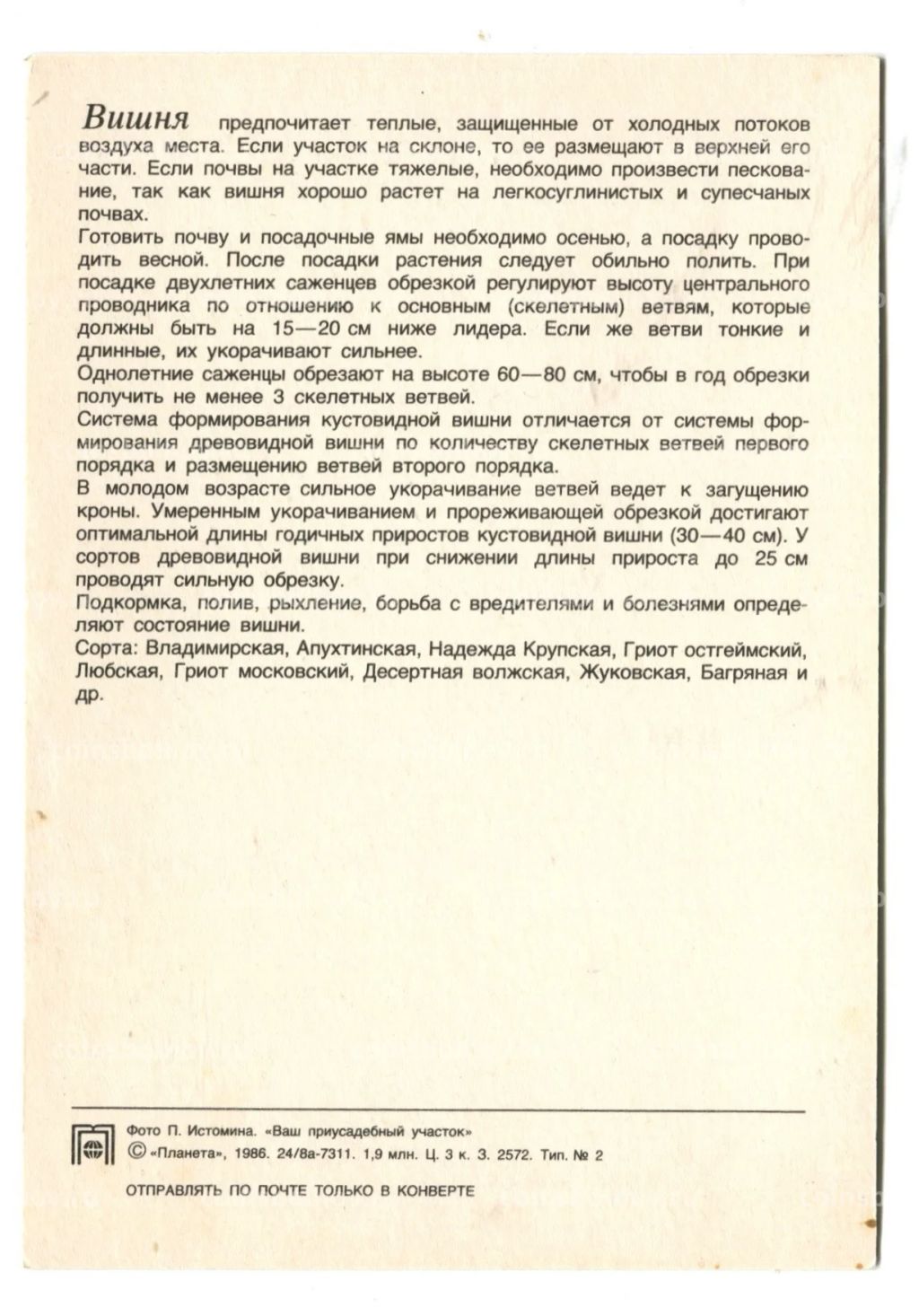 Открытка Вишня