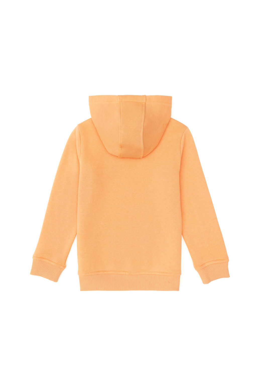 Оранжевый базовый свитшот для мальчика Неожиданная скидка в корзине - U.s. polo assn фото 2