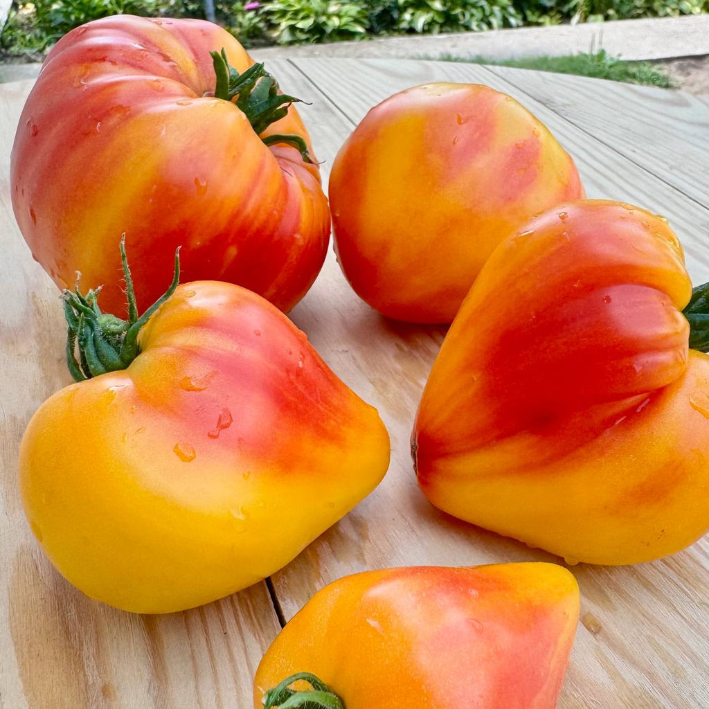 Солнечное сердце НОВИНКА 2025 года!