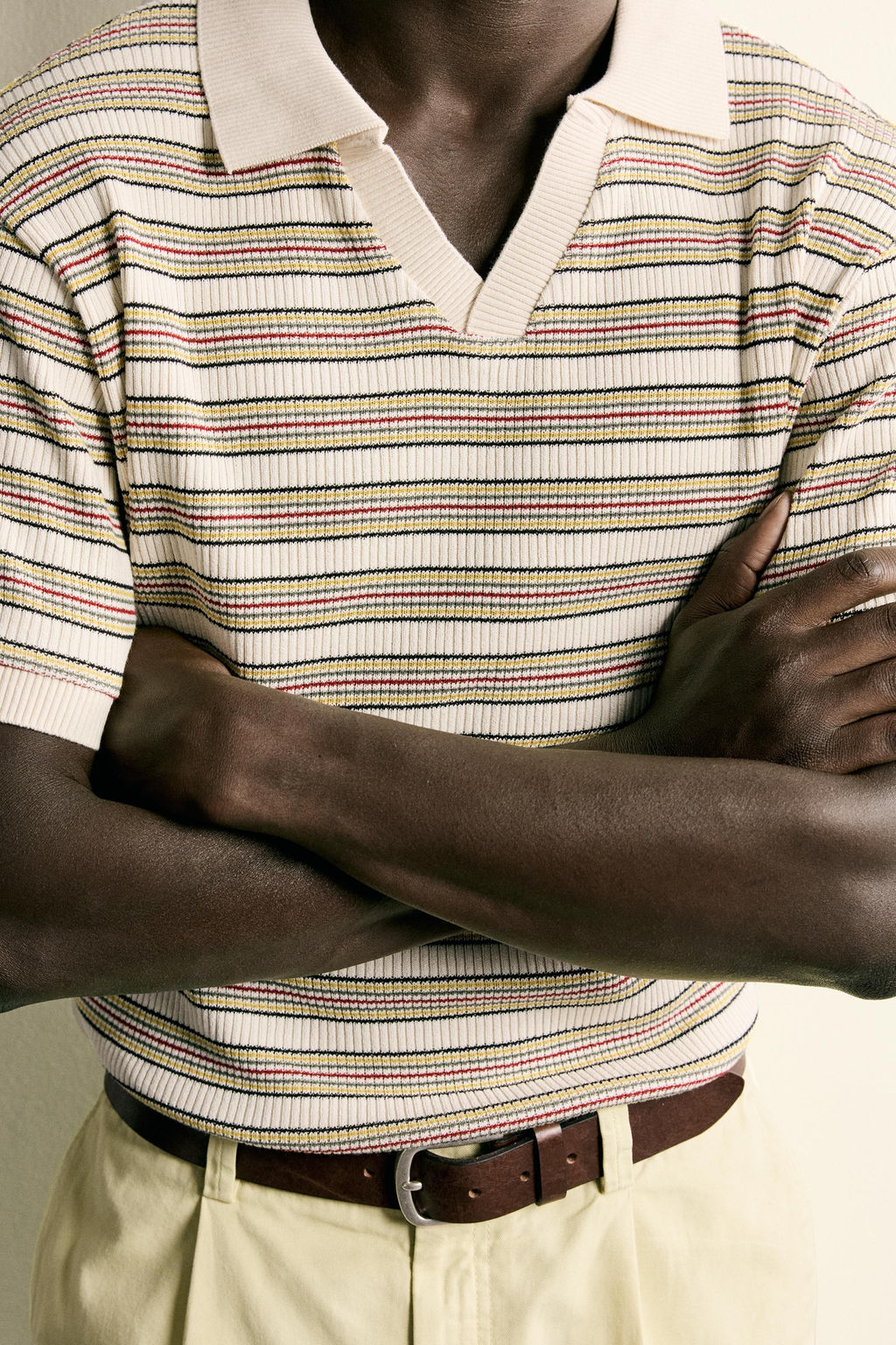 POLO REGULAR FIT RAYAS / Multicolor - Zara фото 6