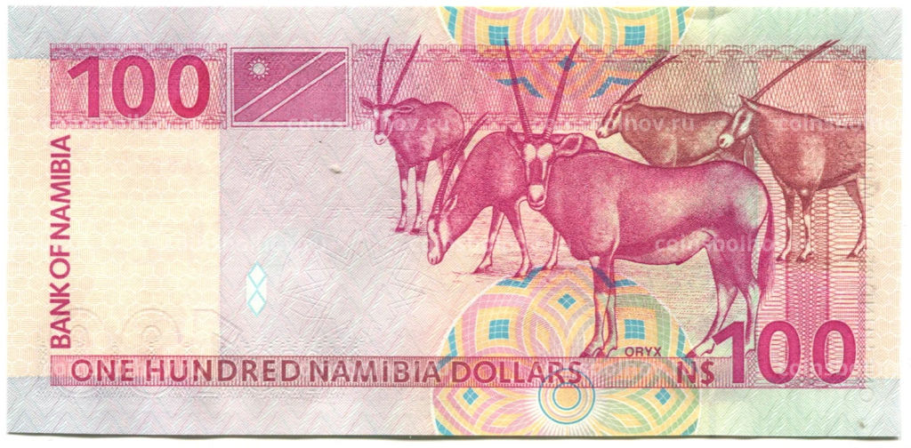 100 долларов 2003 года Намибия