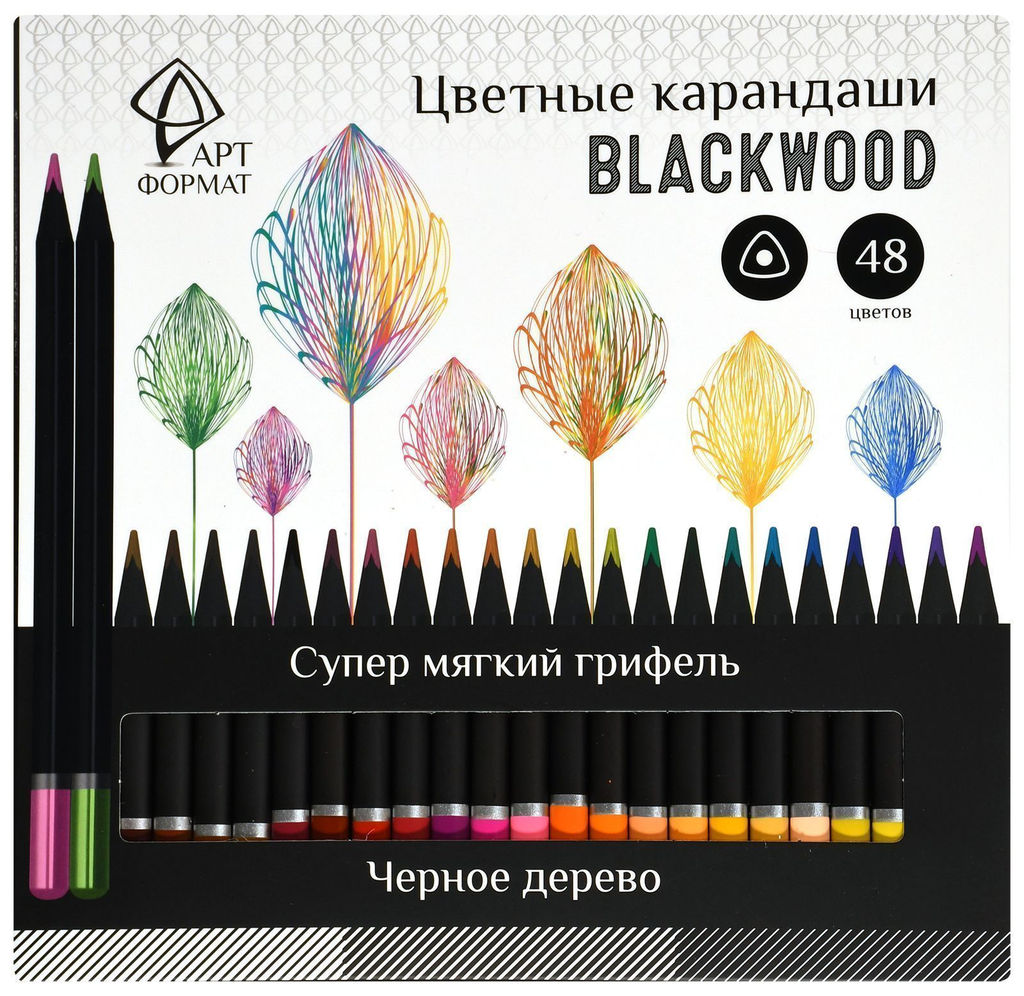 Набор цветных карандашей АРТформат Blackwood 48 цв. трехгранные, деревянные, супермягкий г...