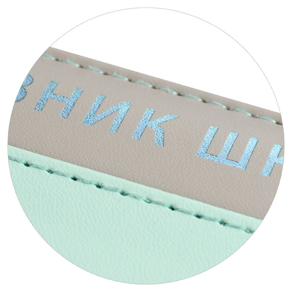 Дневник школьный арт. 68760 / 15 ПЛОНЖЕ МЯТНЫЙ