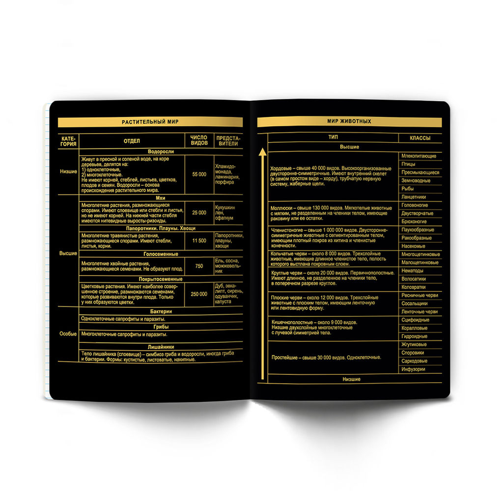 Светоч Т145 Тетрадь со справочным материалом Золотая коллекция, тиснение золотой фольгой, A5 48 л. на скобе 65 г/кв.м , белизна 100 % 10 шт. , клетка 01324 Золотая коллекция Биология фото 7