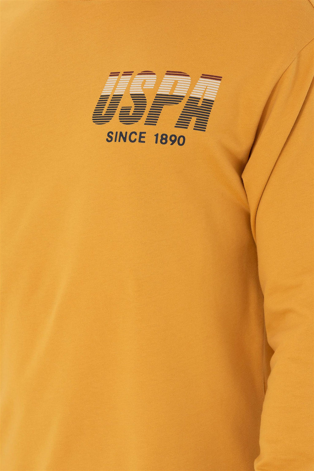 U. S. Polo Assn / Мужской горчичный свитшот - U.s. polo assn фото 7