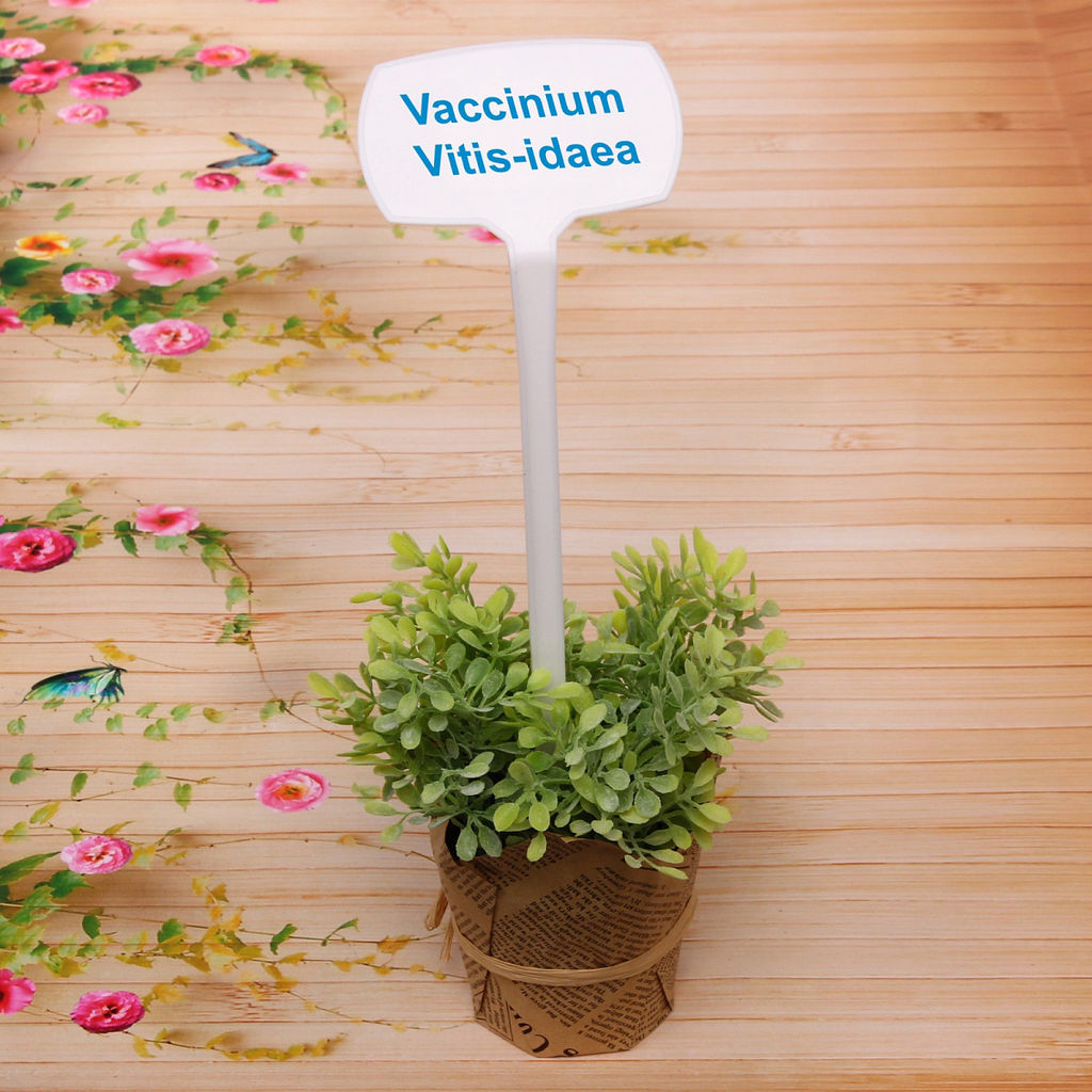 Цена за 10 шт. Табличка садовая для маркировки растений 26*8,5*5см "Памятка" из пластика