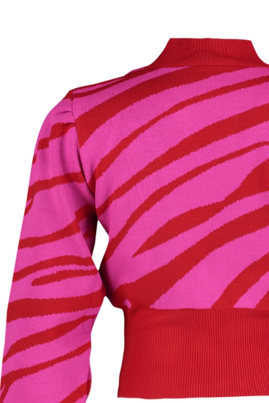 Zumrut Yesili Zebra Desenli Crop Triko Kazak TWOAW21KZ0010 - Trendyolmilla фото 39