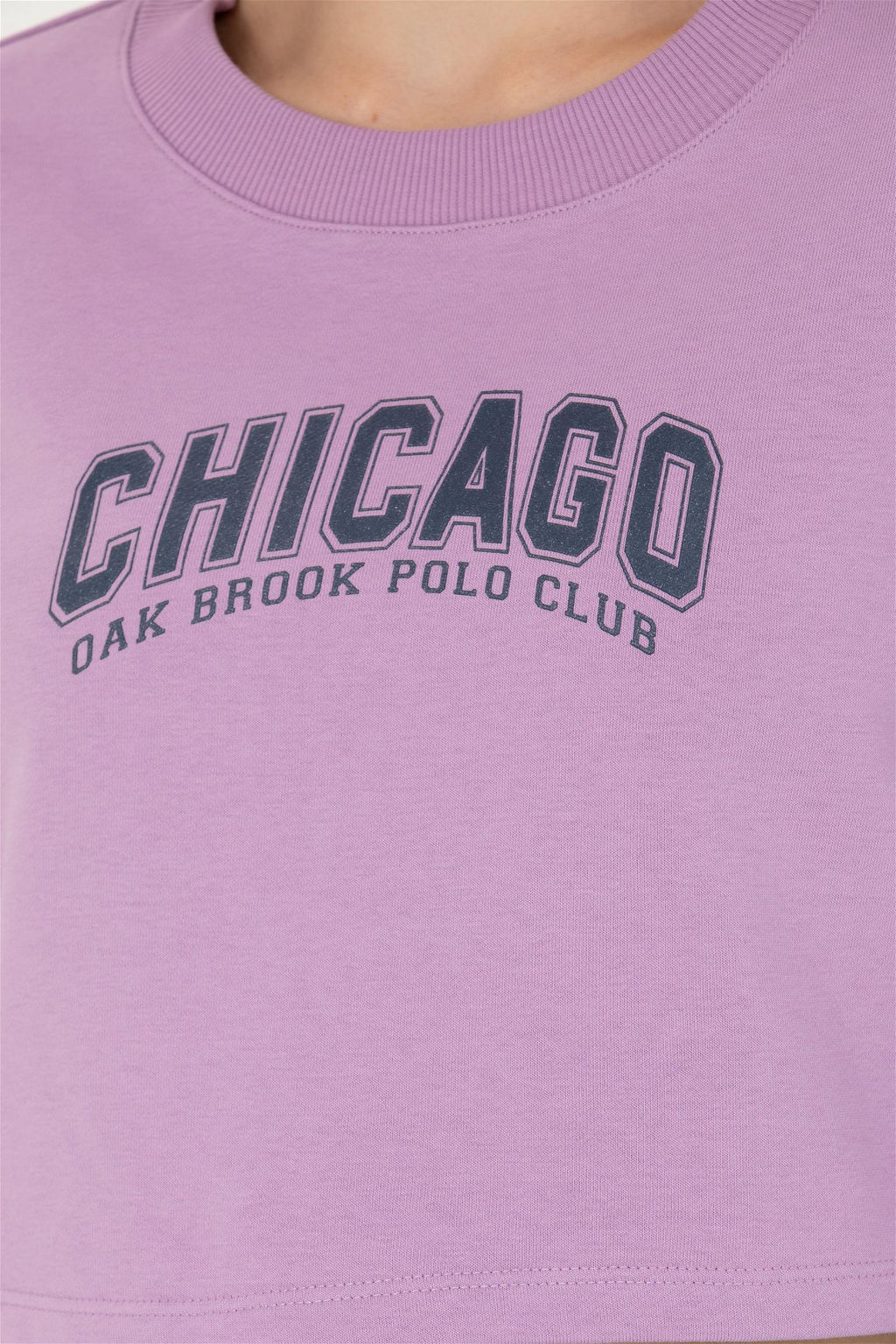 U. S. Polo Assn Женский сиреневый свитшот с круглым вырезом - U.s. polo assn фото 14