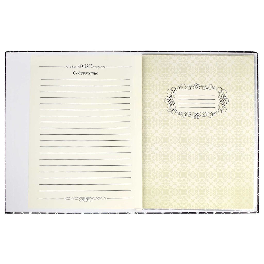 Портфолио учителя арт.38017 ФАКТУРА - Феникс+ фото 6