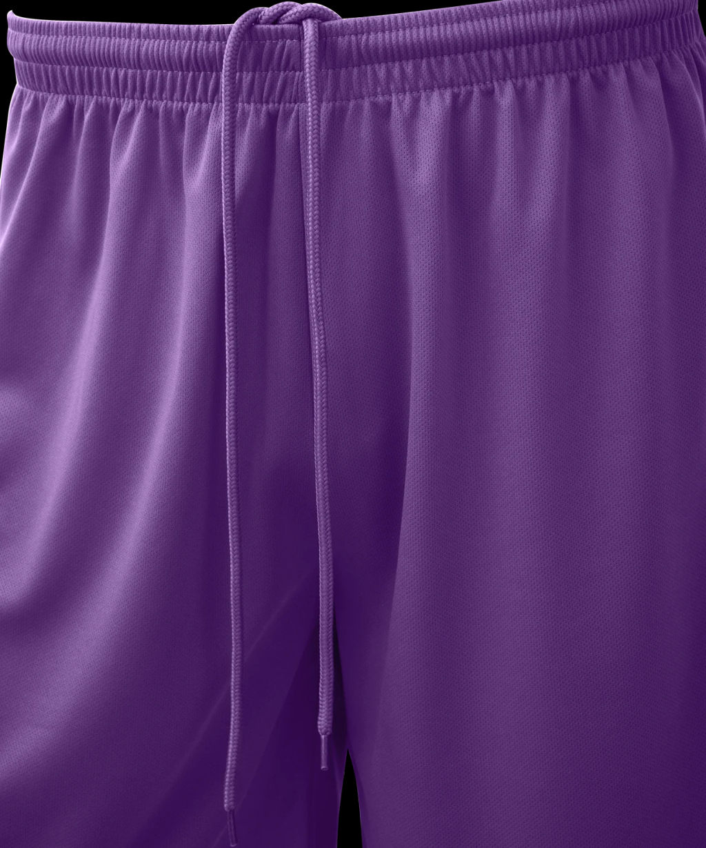 Шорты баскетбольные JOGEL CAMP Basic, фиолетовый  фото 3