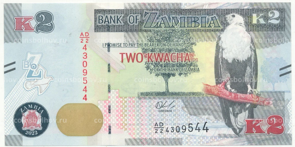 2 квача 2022 года Замбия