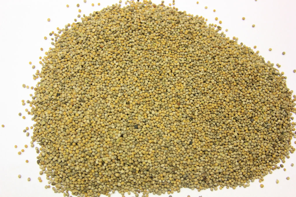 Зеленый Уголок Горчица 3 кг (1 шт./упак.)