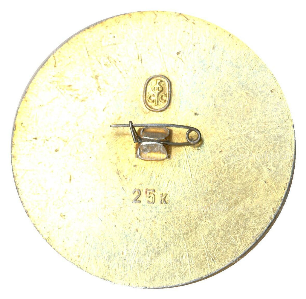 Значок Новоафонская пещера