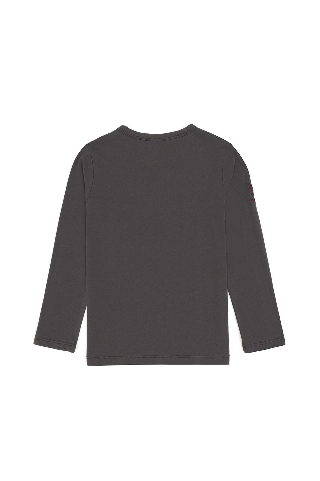 Erkek _ocuk Gri Bisiklet Yaka Sweatshirt Sepette S_rpriz _ndirim - U.s. polo assn фото 2