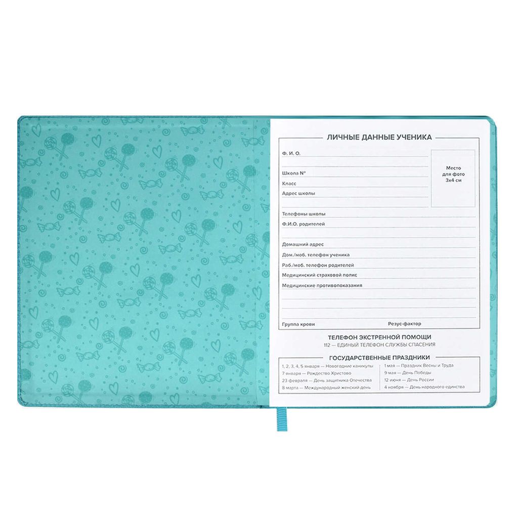 Дневник школьный арт. 53559 / 15 ЕЖИКИ - Феникс+ фото 4