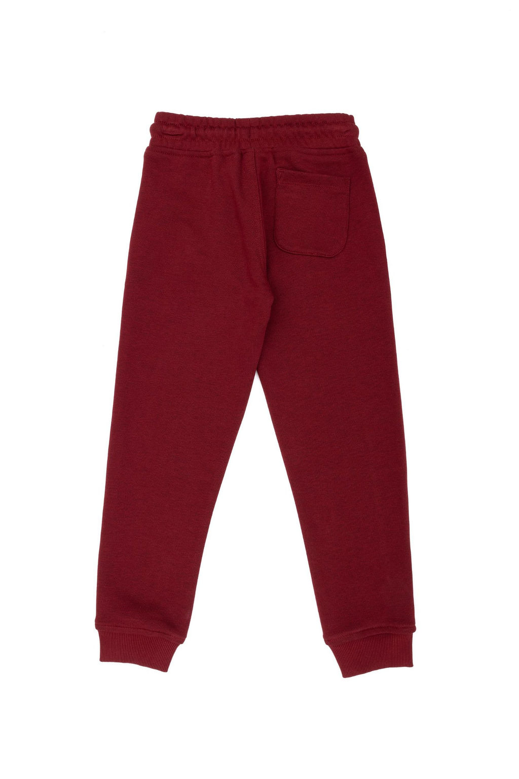 U. S. Polo Assn Детские бордовые спортивные штаны - U.s. polo assn фото 7