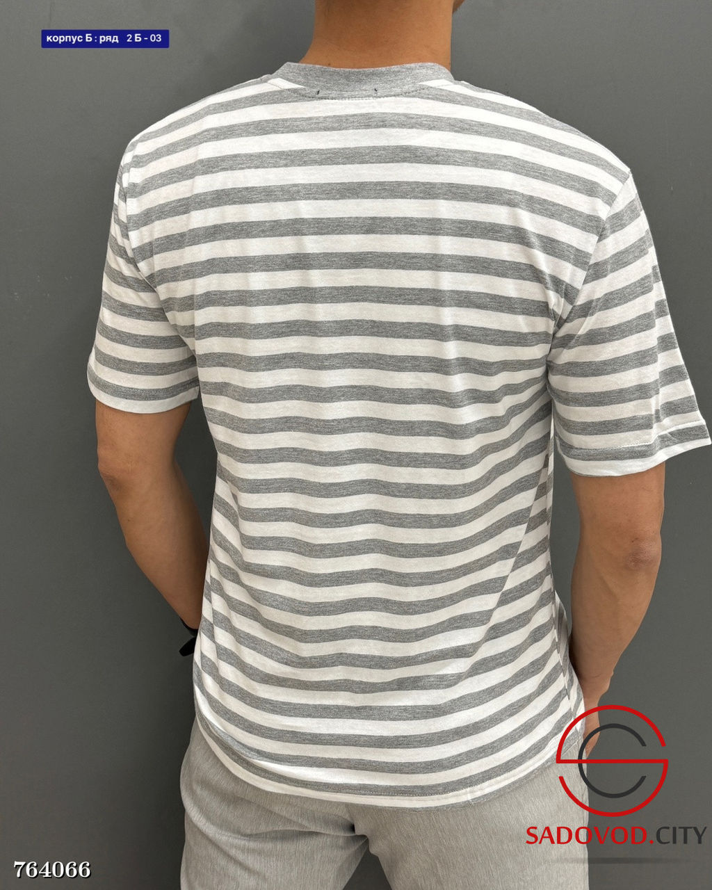 Мужская футболка с полоской