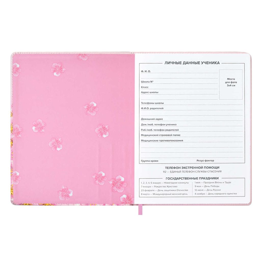 Дневник школьный арт. 53615 / 15 ЁЖИКИ - Феникс+ фото 6