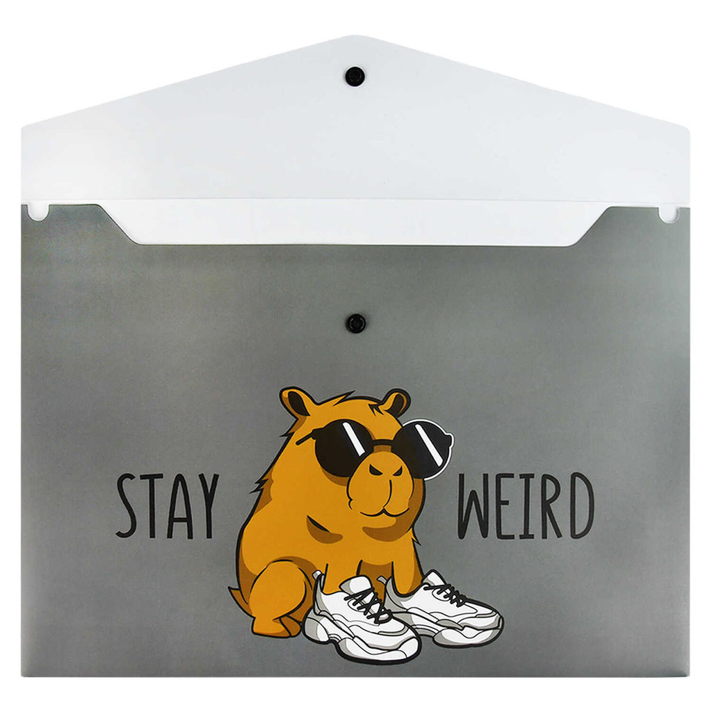 Цена за 2 шт.Папка для школьных тетрадей пластиковая Феникс+, арт. 69303/ 12 ЧУДНАЯ КАПИБАРА