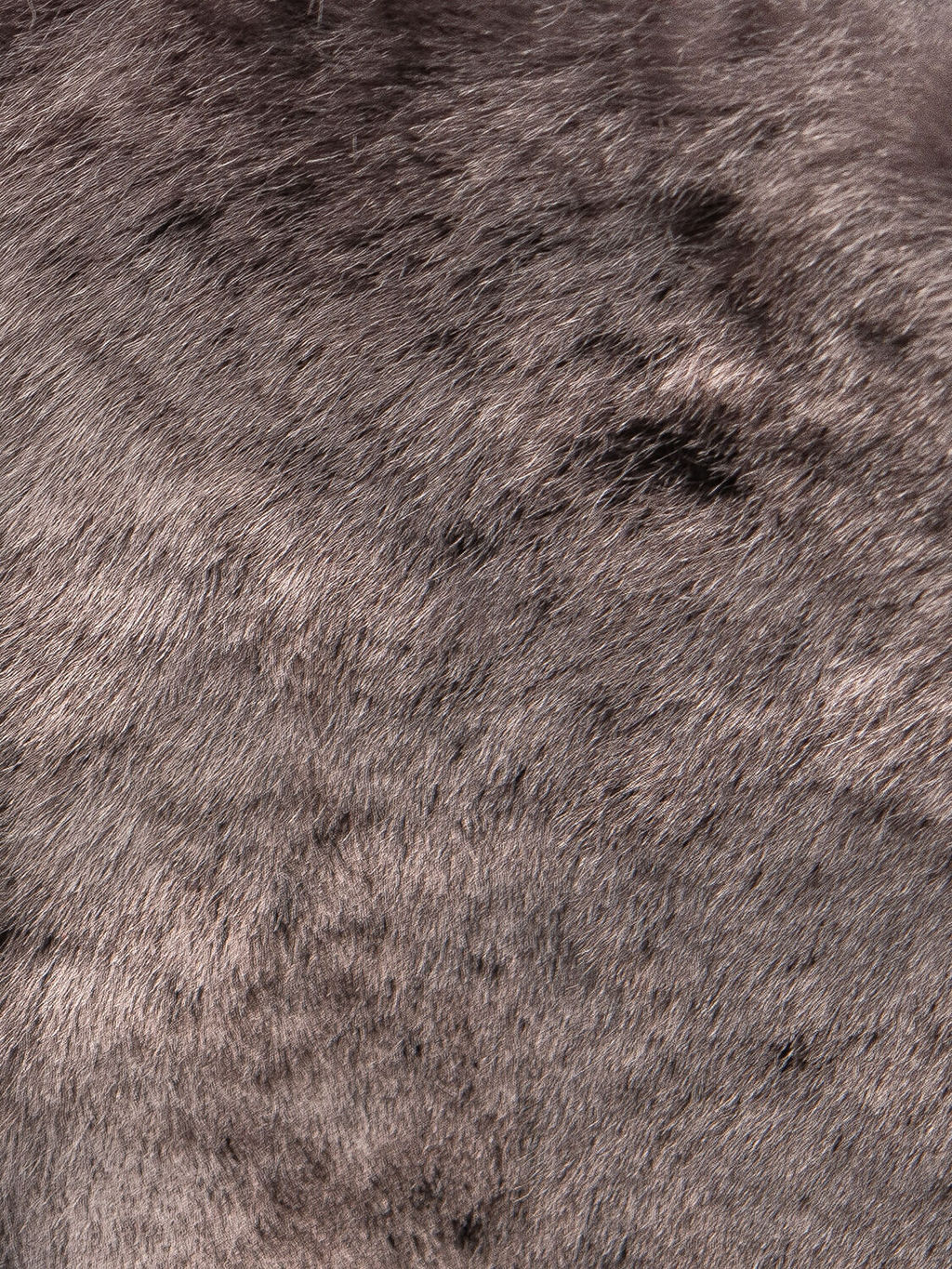 сапоги
								BELWEST  фото 6