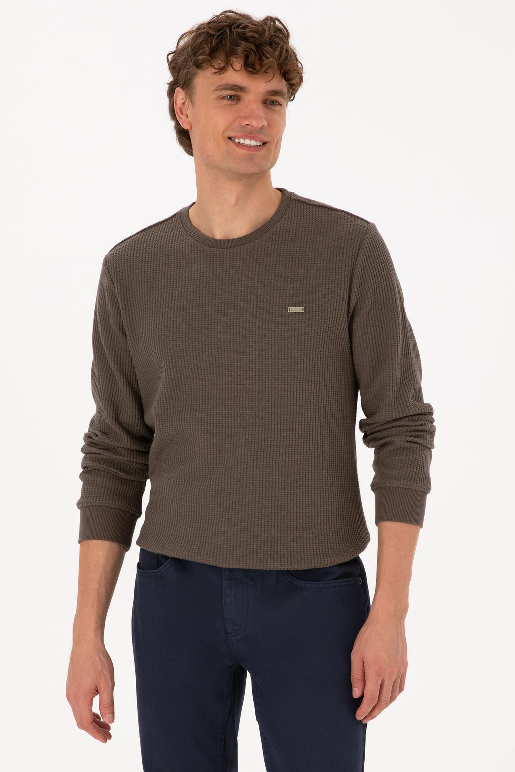 Erkek Bisiklet Yaka Regular Fit Petek Dokulu Vizon Sweatshirt - U.s. polo assn фото 3