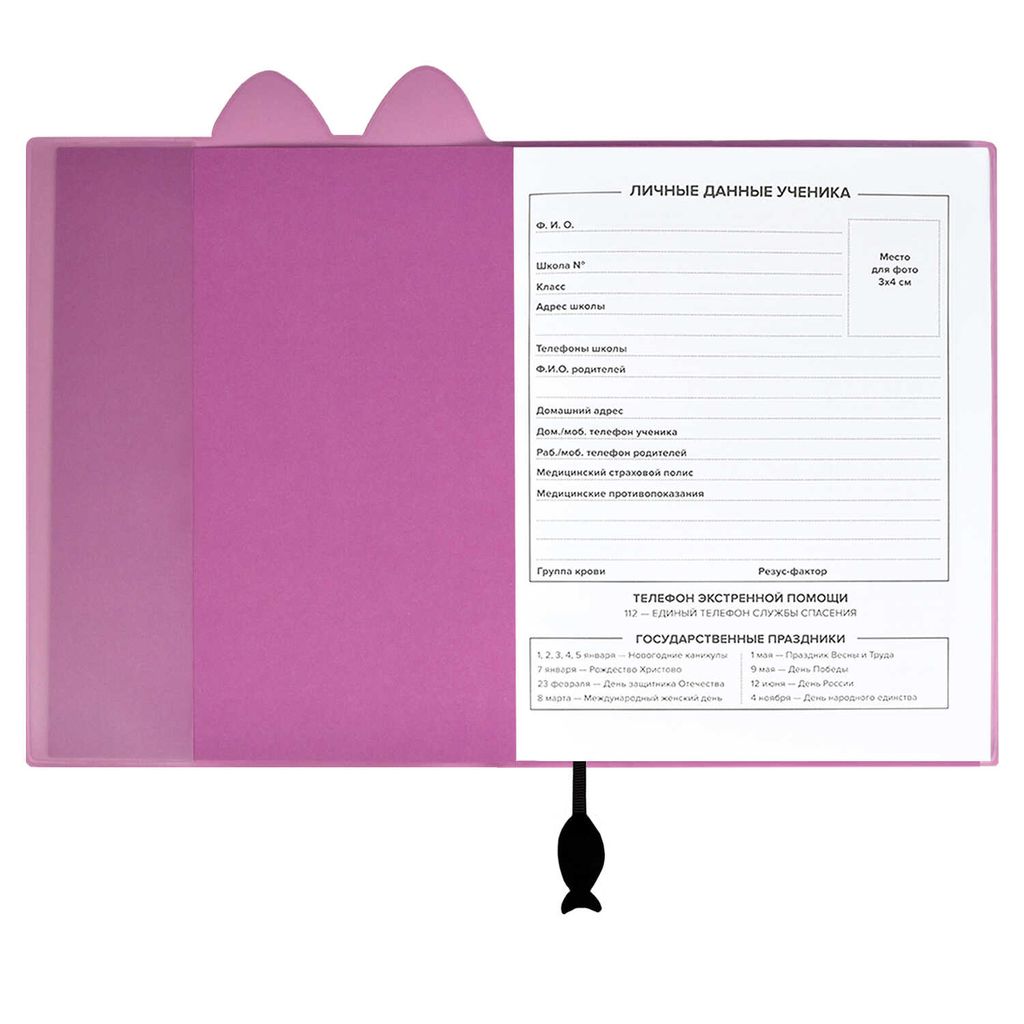 Дневник школьный арт. 58926 / 15 КРЭЙЗИ КОТ - Феникс+ фото 4