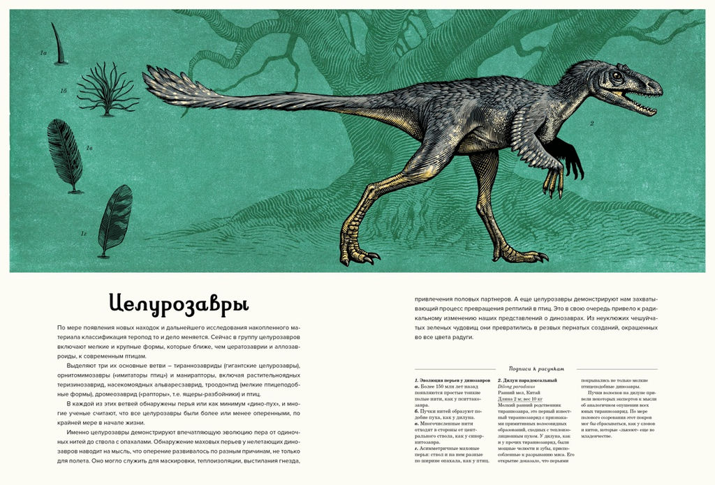 Динозавриум. Маррей Л., Скотт К., Брун Д. - Махаон фото 8