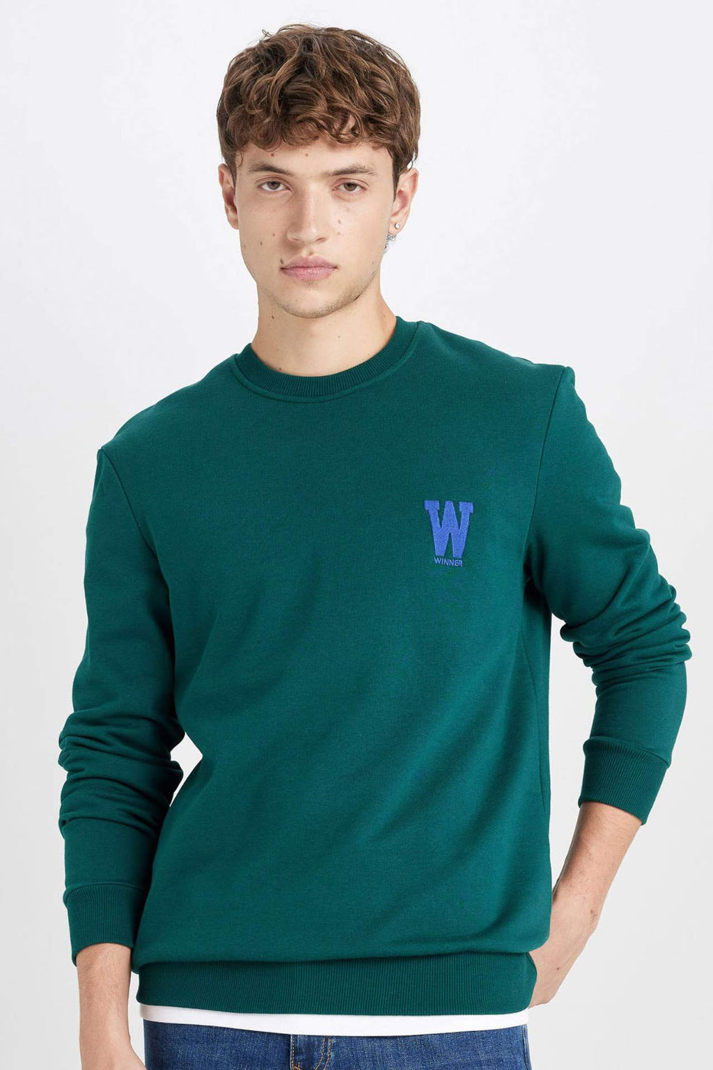 New Regular Fit Bisiklet Yaka Bask?l? Kal?n Sweatshirt - Defacto фото 2