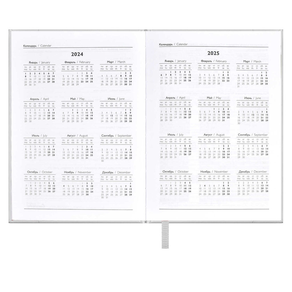 Ежедневник датированный 2024 ESCALADA, А6+, 176 л., арт. 63797/ 20 ПЛОНЖЕ МЕТАЛЛИК СЕРЕБРЯНЫЙ  фото 5