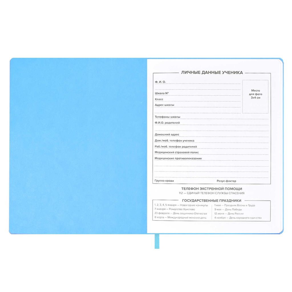 Дневник школьный арт. 58732 / 15 ЛАК РОЗОВЫЙ - Феникс+ фото 4