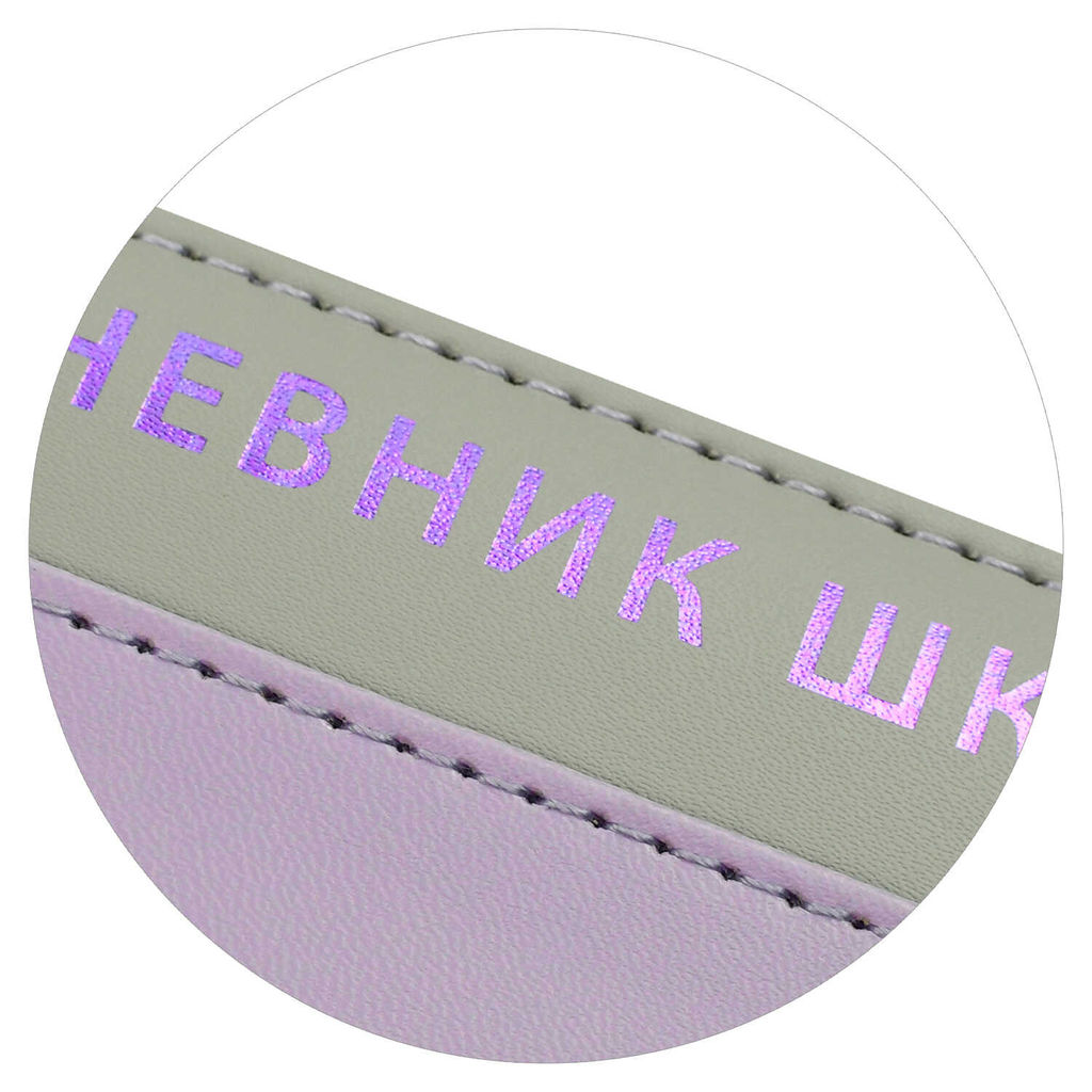 Дневник школьный арт. 68759 / 15 ПЛОНЖЕ СИРЕНЕВЫЙ