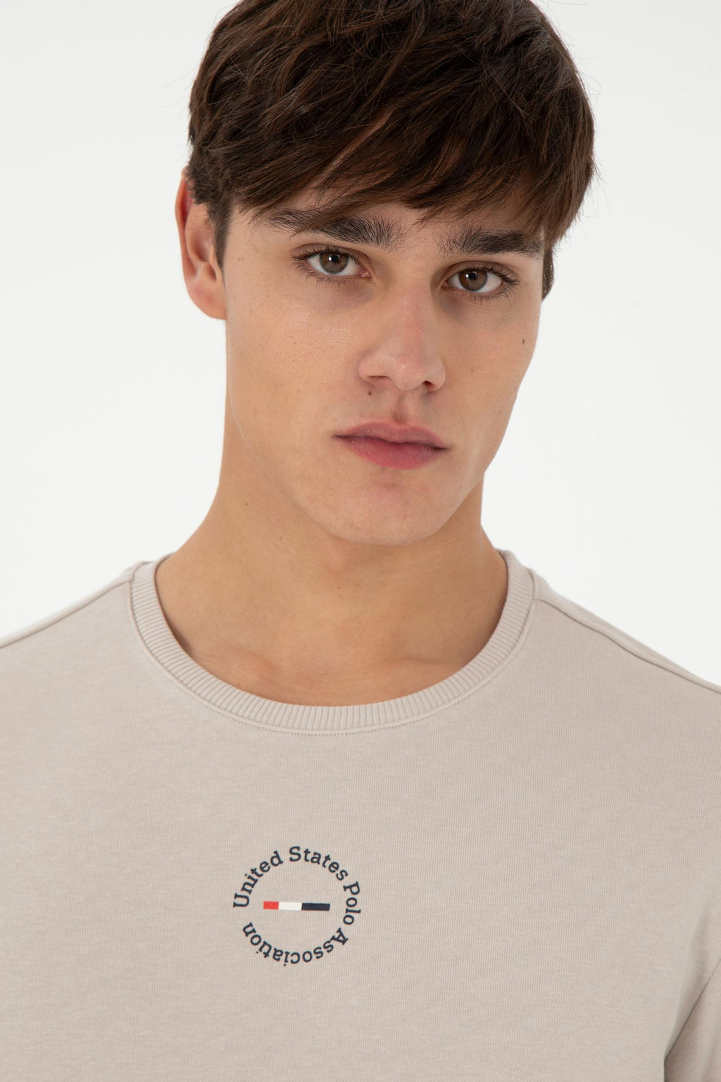 Мужская толстовка с камнем Неожиданная скидка в корзине - U.s. polo assn фото 2