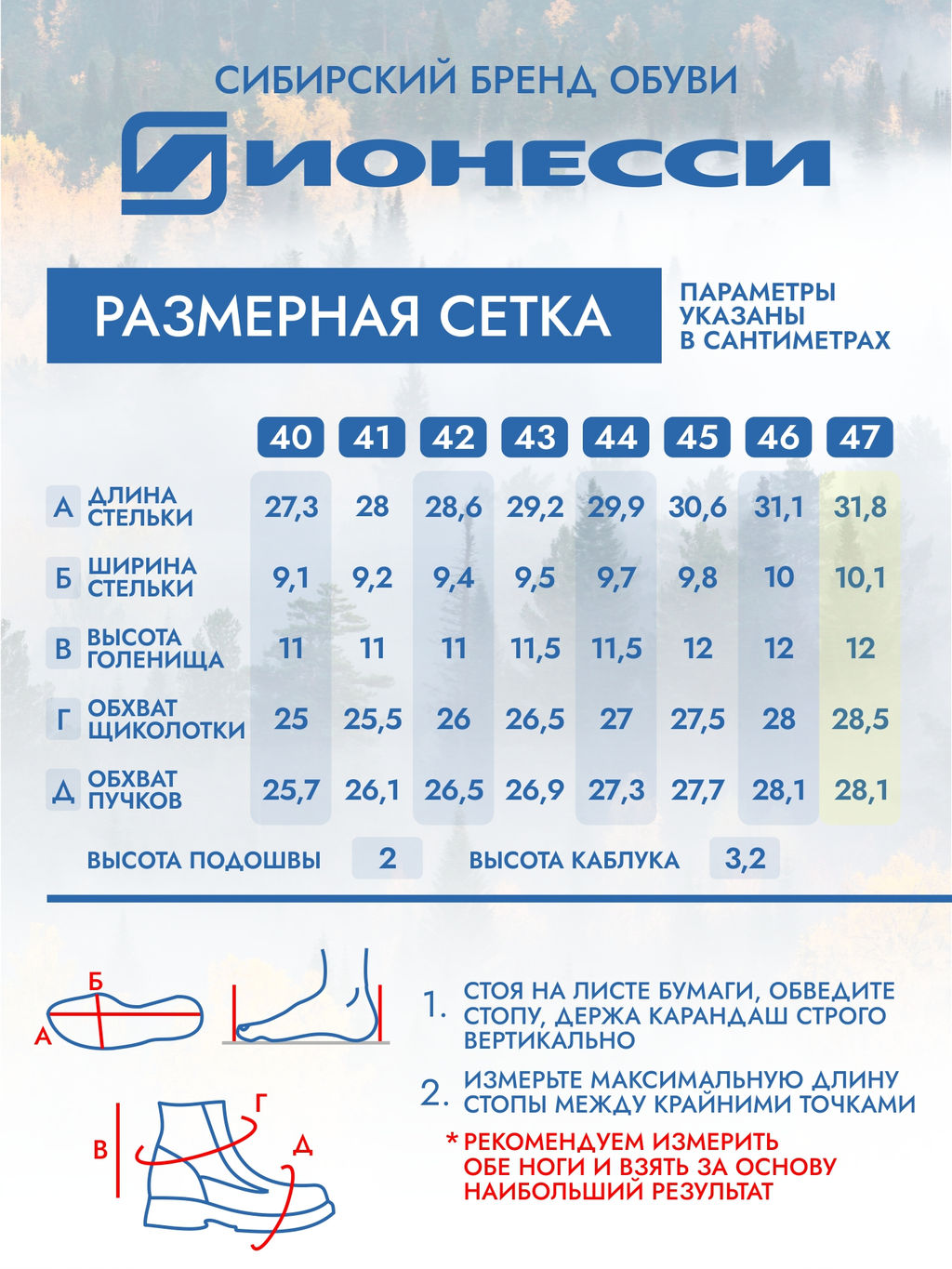 Ботинки - Ионесси фото 9