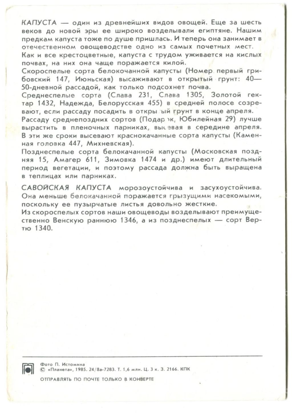 Открытка Капуста