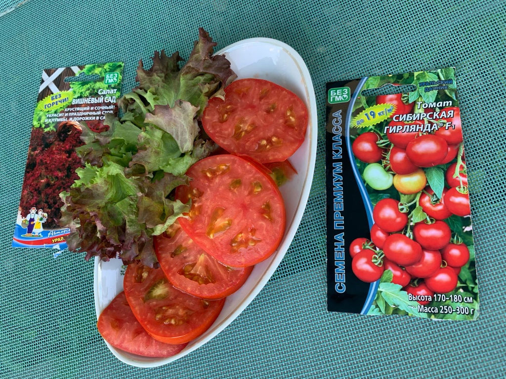 Томат СИБИРСКАЯ ГИРЛЯНДА F1 - Уральский дачник фото 2
