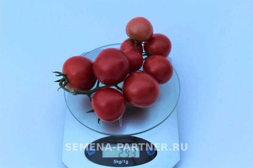 Томат Малиновый Коктейль - Партнер фото 4
