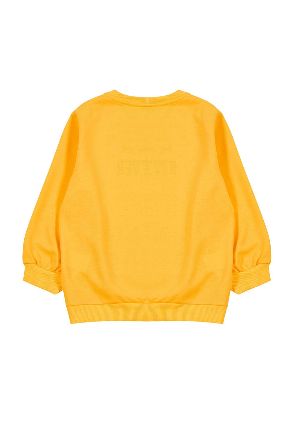 Sar? Erkek Cocuk Mevsimlik-Ince Hayvan Desenli Bisiklet Yaka Orme Sweatshirt TKDAW25SW00005