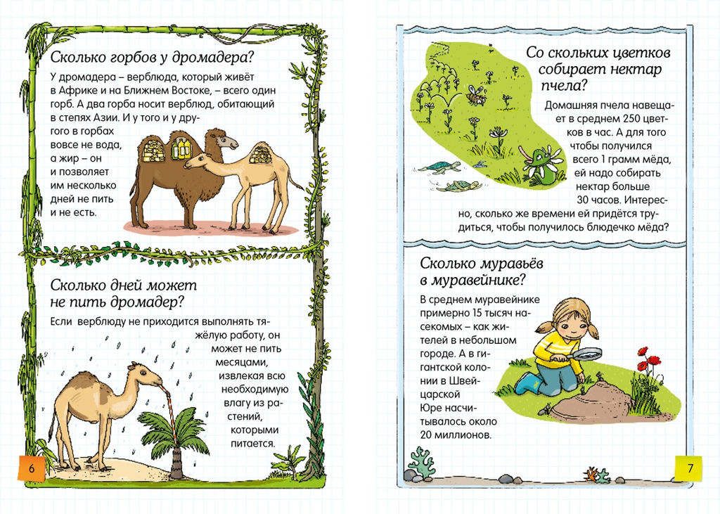 Скажи мне сколько?. - Махаон фото 3