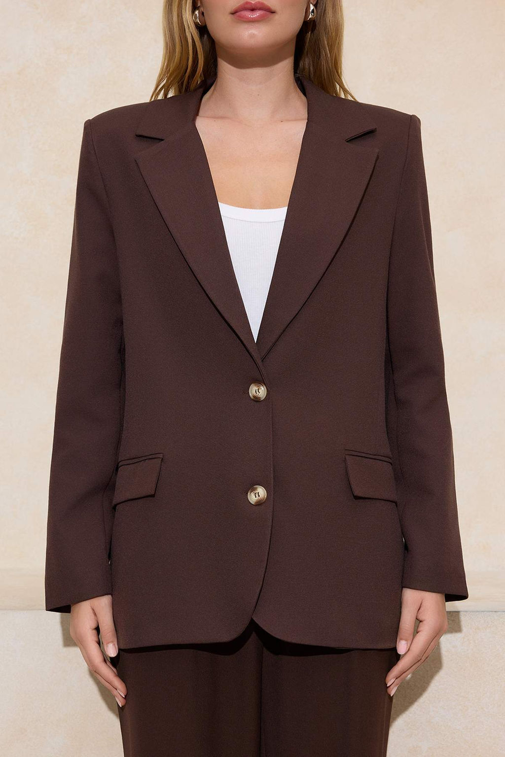 Koyu Kahverengi Regular Astarl? Dokuma Blazer Ceket TWOAW23BC0013