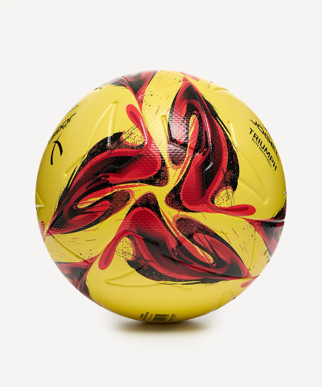Мяч футбольный JOGEL Triumph Elite Winter №5  фото 2
