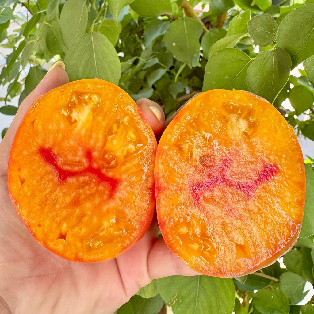 Его Величество Бабушка НОВИНКА 2025 года!